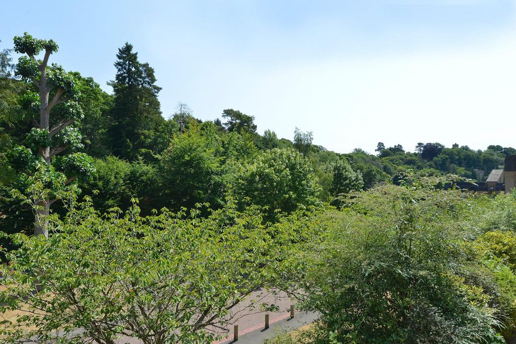 Picture No. 13
