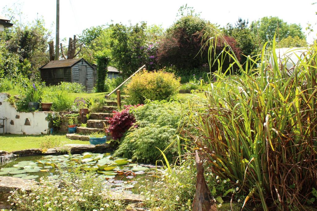 Pond &amp; Garden