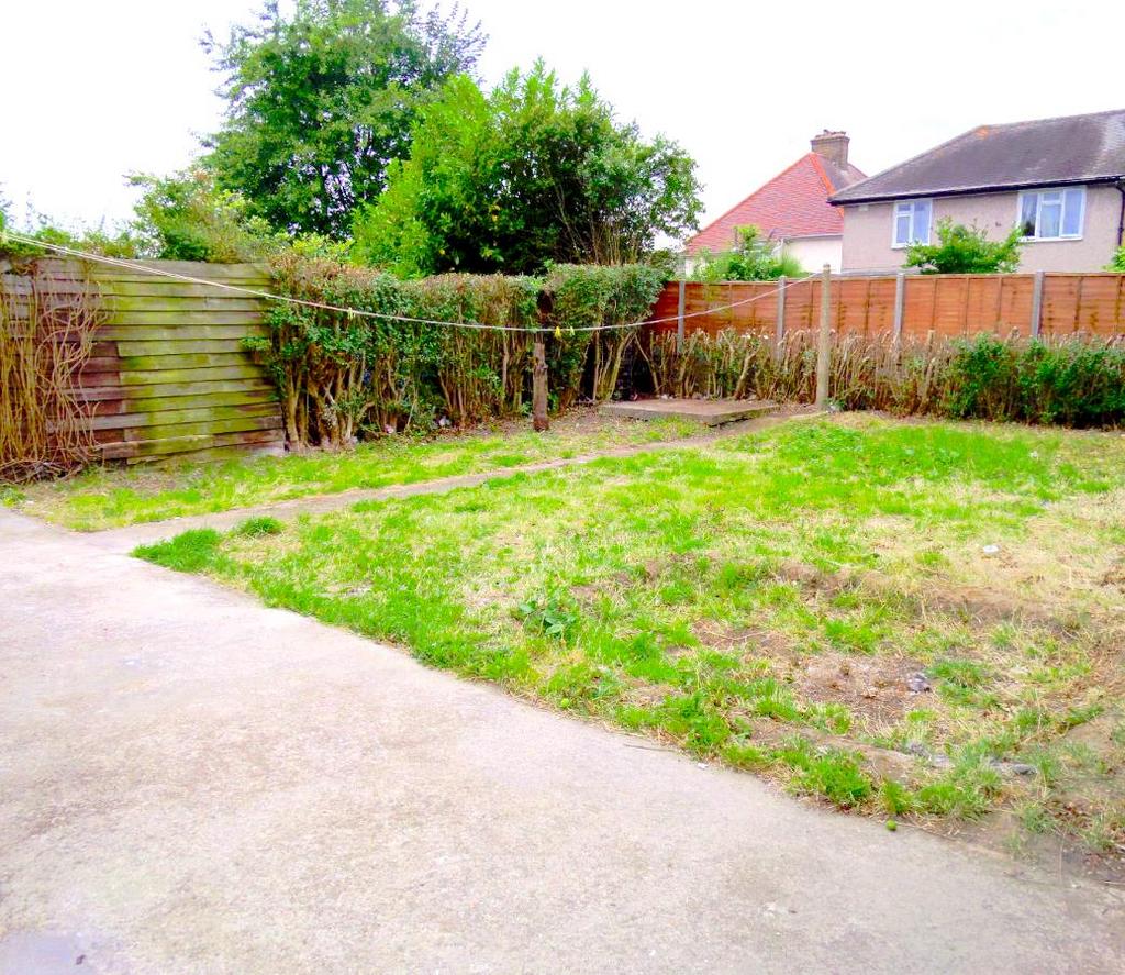 New Garden Pic.PNG