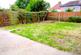 New Garden Pic.PNG