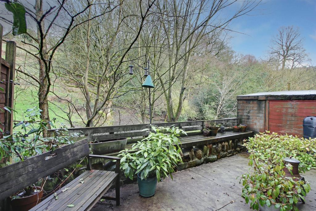 Back Garden
