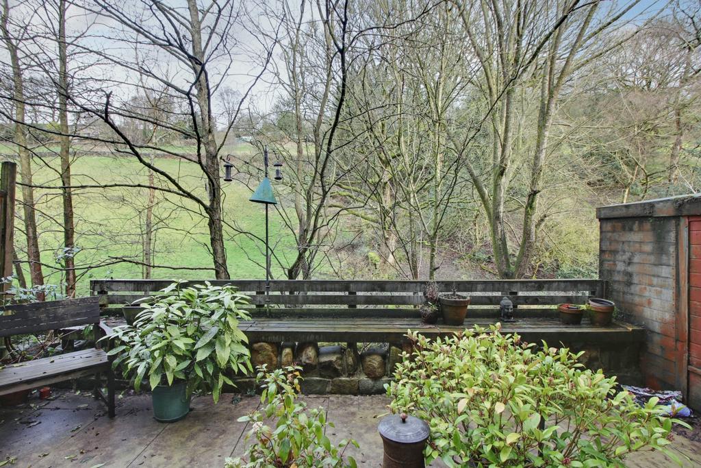 Back Garden