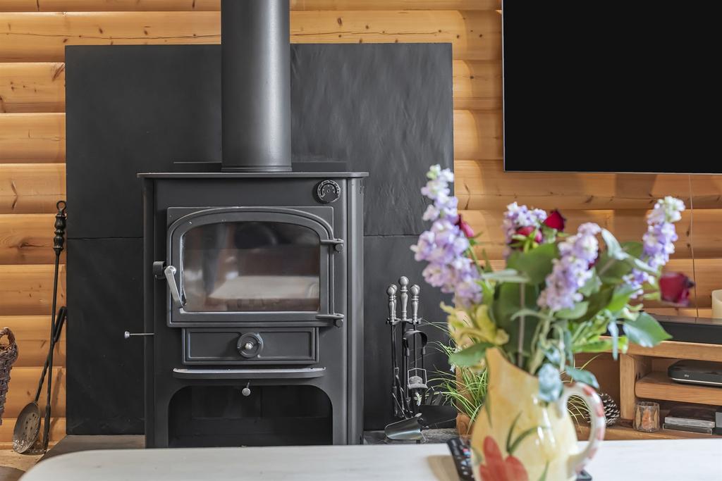 Log Burner