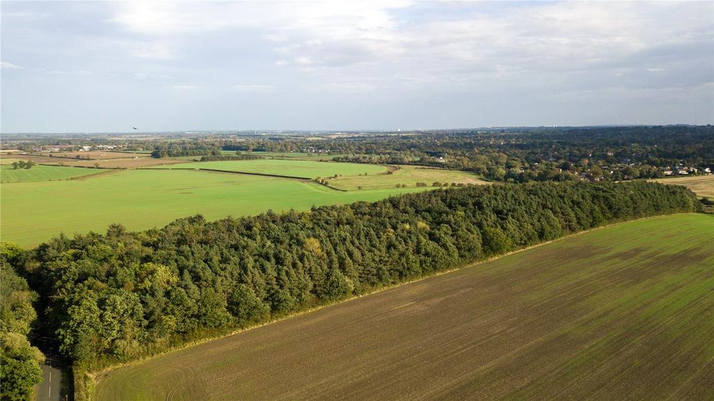Plantation