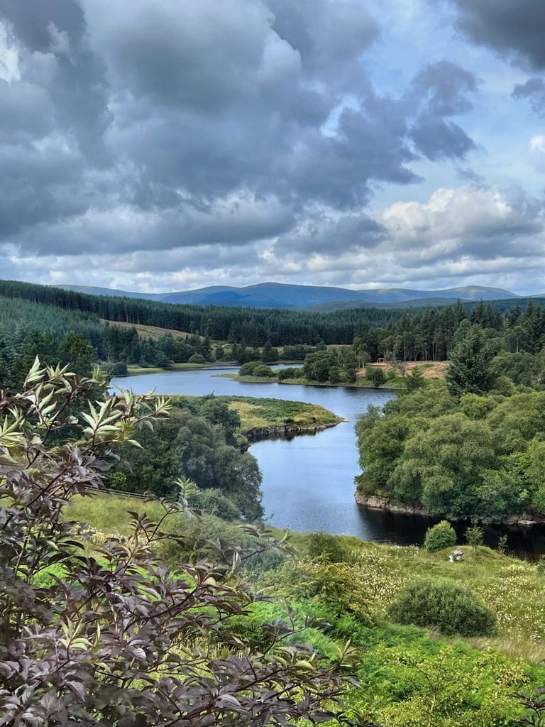 College Glen, Dalry   Williamson and Henry