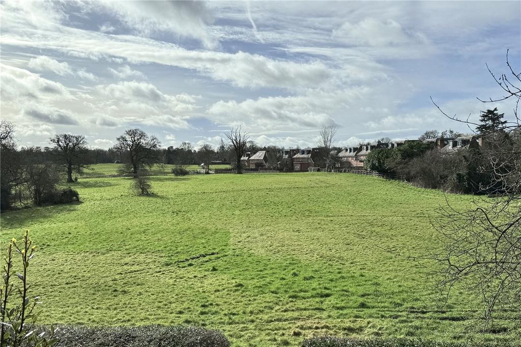 View Torear