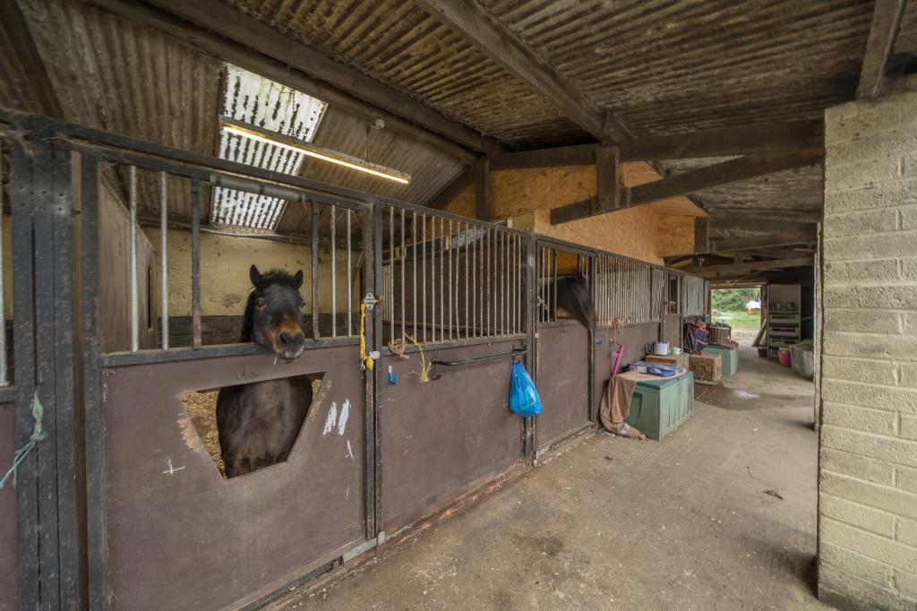 Stables