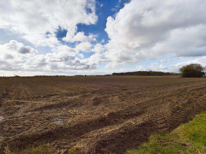 Adjoining field