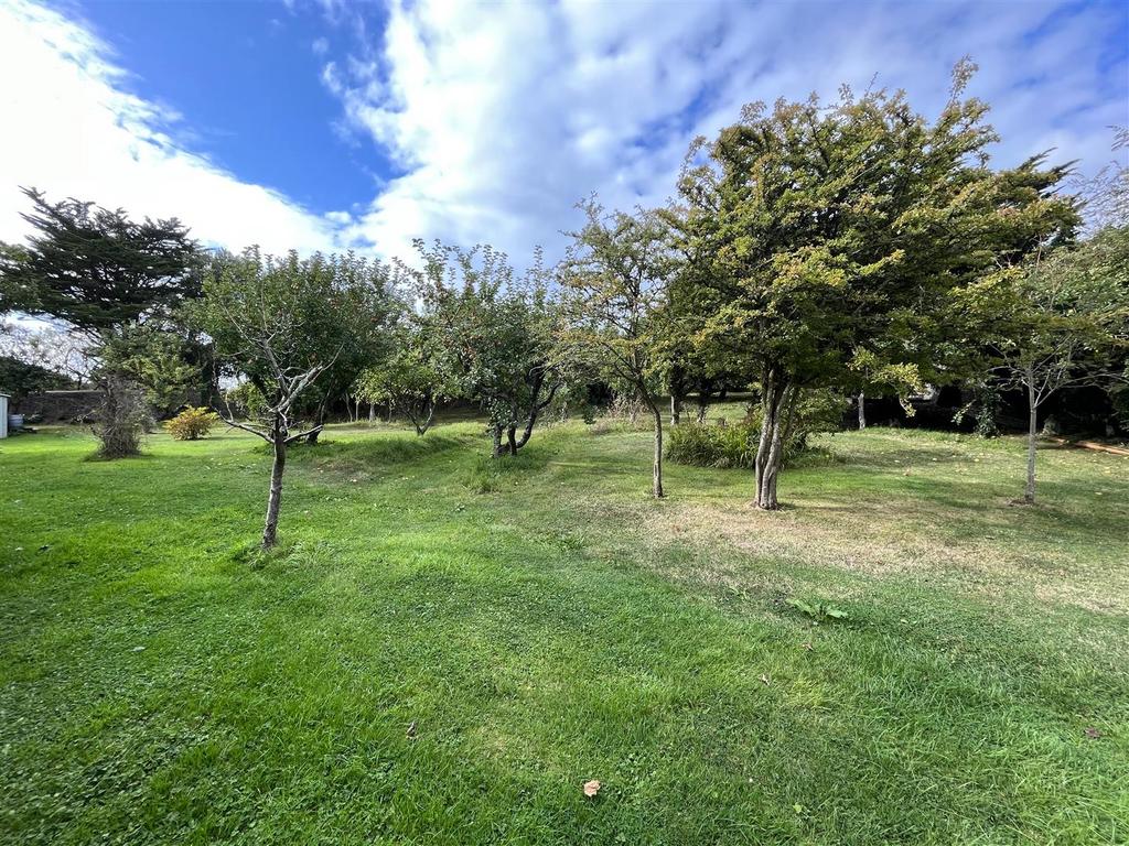 Orchard