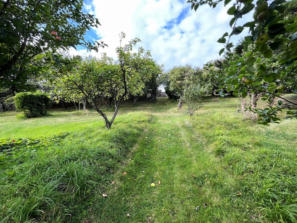 Orchard