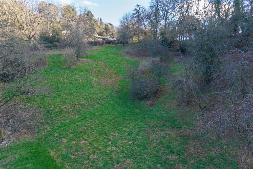 20240212-DJI 0263.jpg