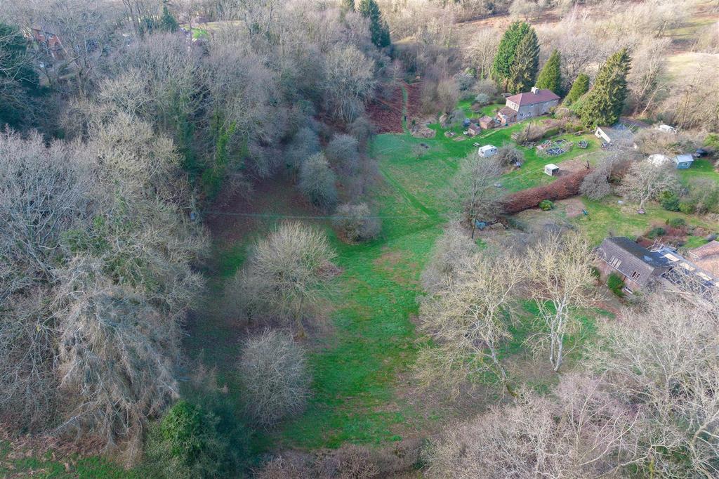 20240212-DJI 0264.jpg