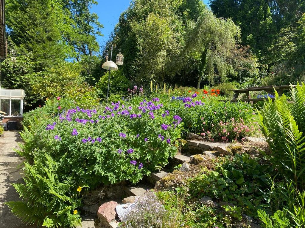 Pack harse garden7.jpg