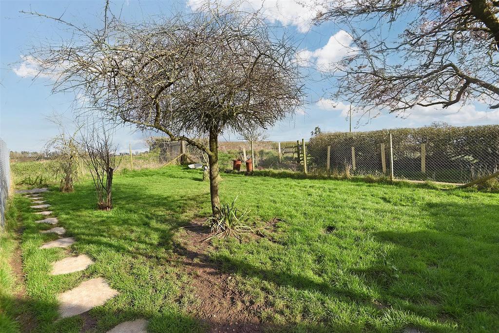 Enclosed Rear Garden