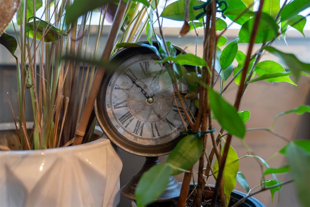 DSC03883-HDR.jpg