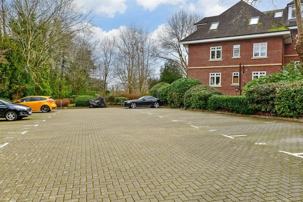 Driveway/Parking