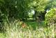 Additional image 26 of Barsham, Beccles