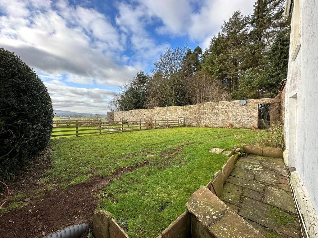 External - Rear Garden