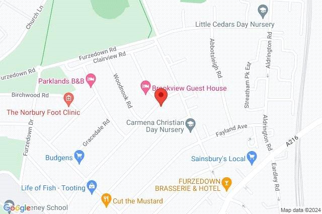 Google Maps Image