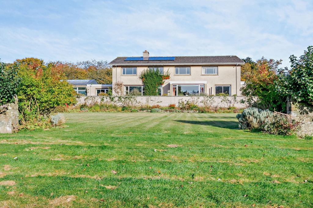 Mature Lawn