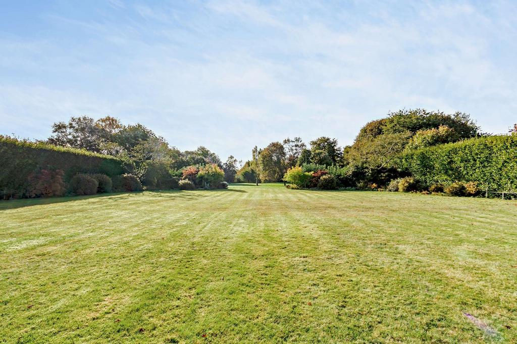 Substantial Lawn
