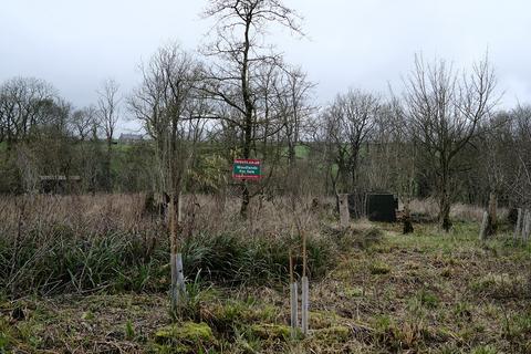 Woodland for sale - Pinkwood Lane, Bruton BA10