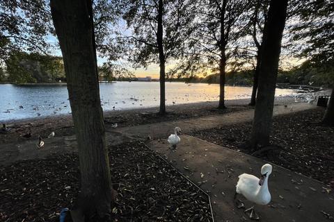 undefined, Lake View, Doncaster