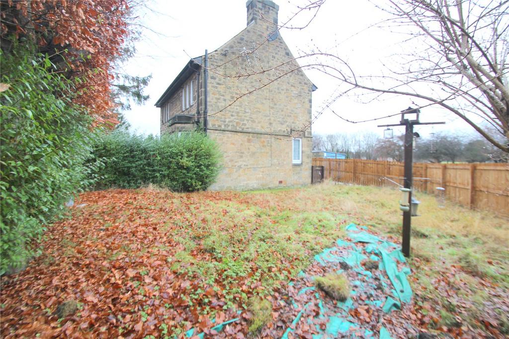 Side Rear Garden 3