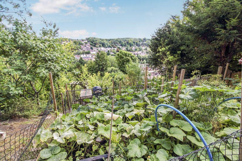 View from vegetable