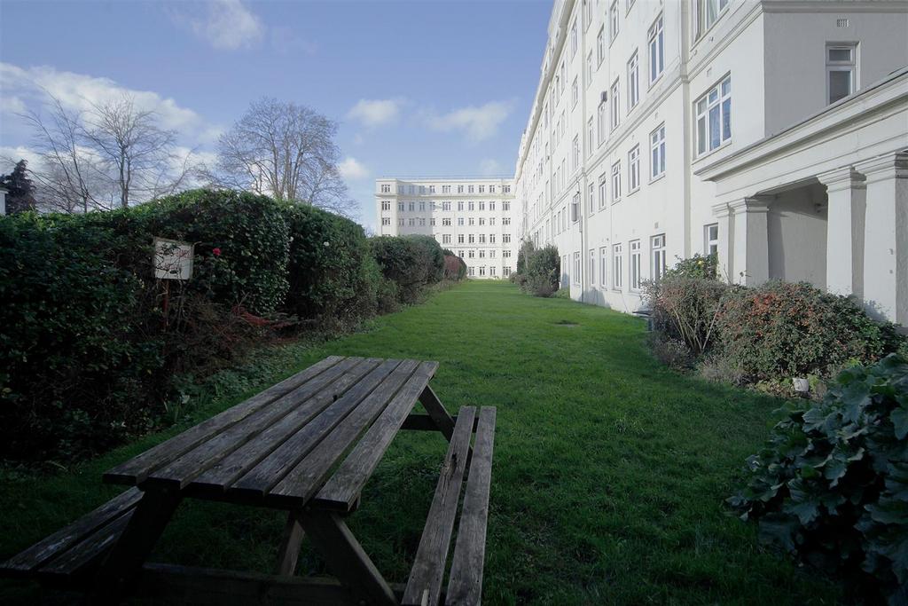 Back garden 11.JPG