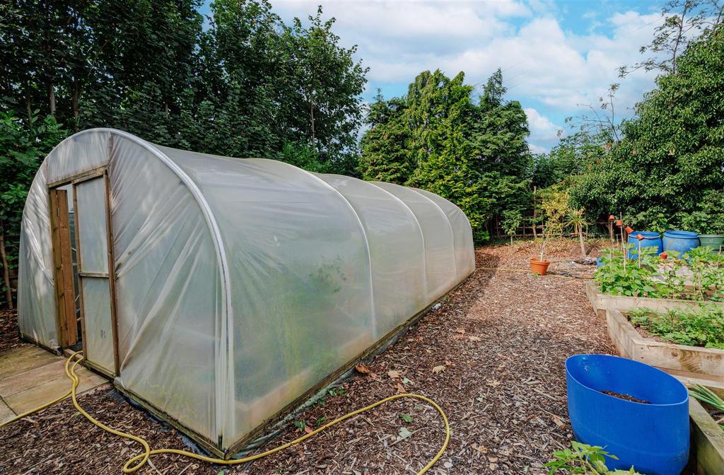 Polytunnel allotment area 1 1 N9 A7318.jpg
