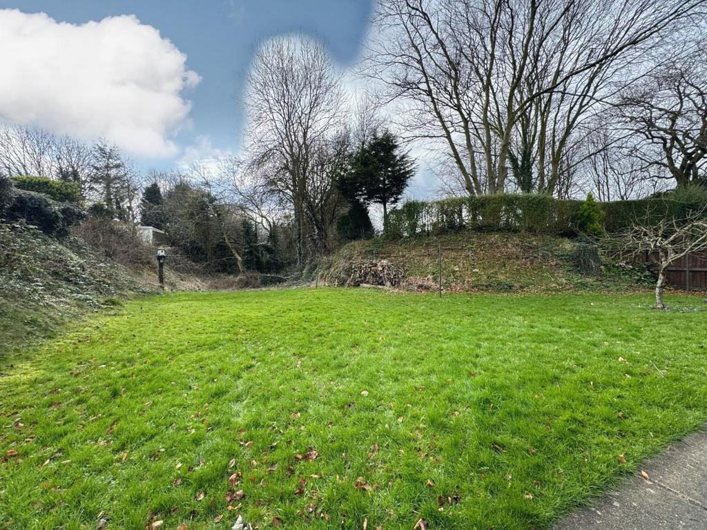 Rear garden.jpg