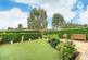 Communal Gardens