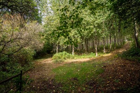 Land for sale, Llantrisant, Usk, Monmouthshire, NP15