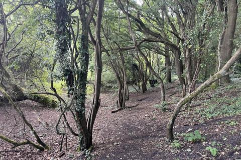 Land for sale, Engine Common Lane, Yate, Bristol, South Gloucestershire, BS37