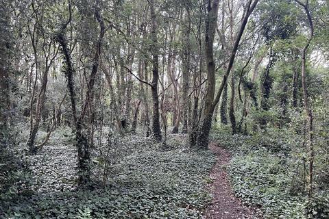 Land for sale, Engine Common Lane, Yate, Bristol, South Gloucestershire, BS37