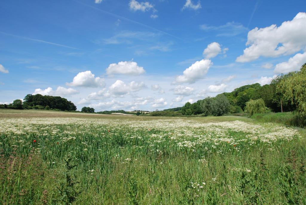 View Of Pednor