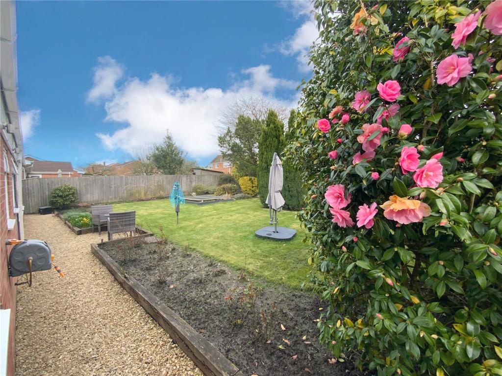 Garden 4