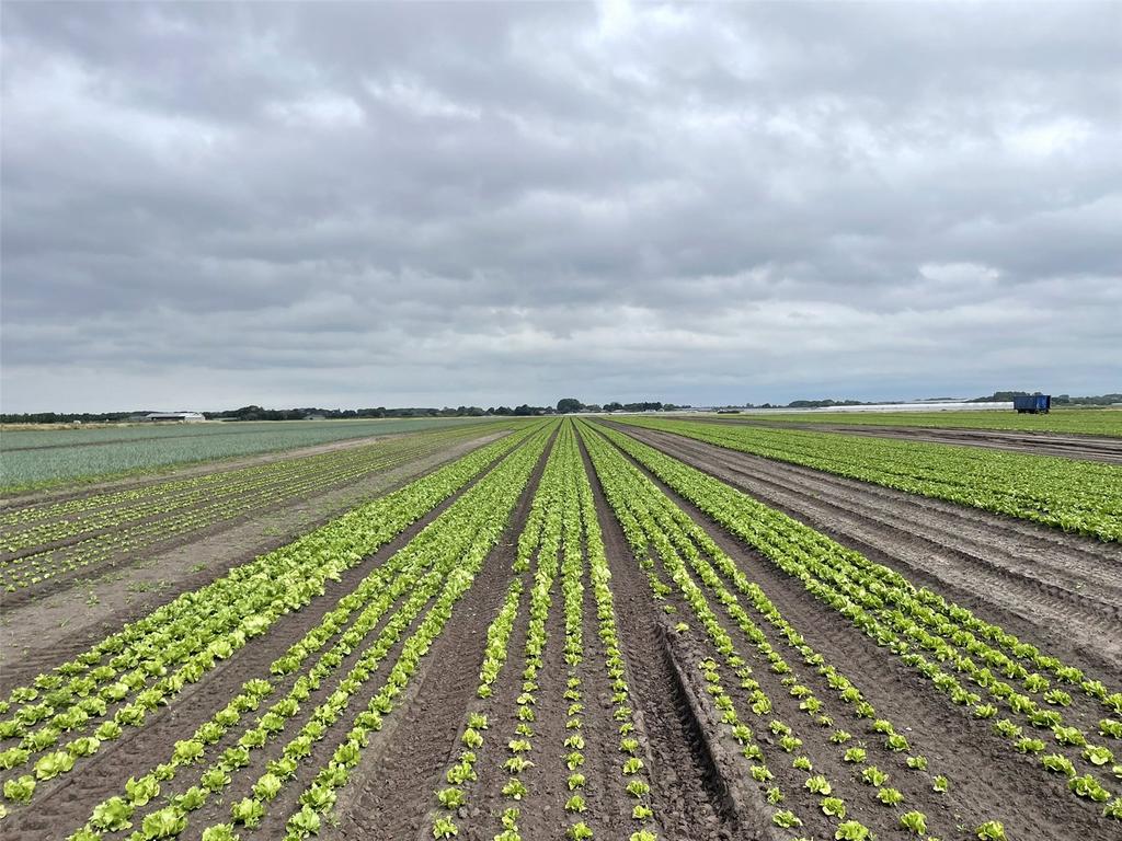 Land At Mere Farm