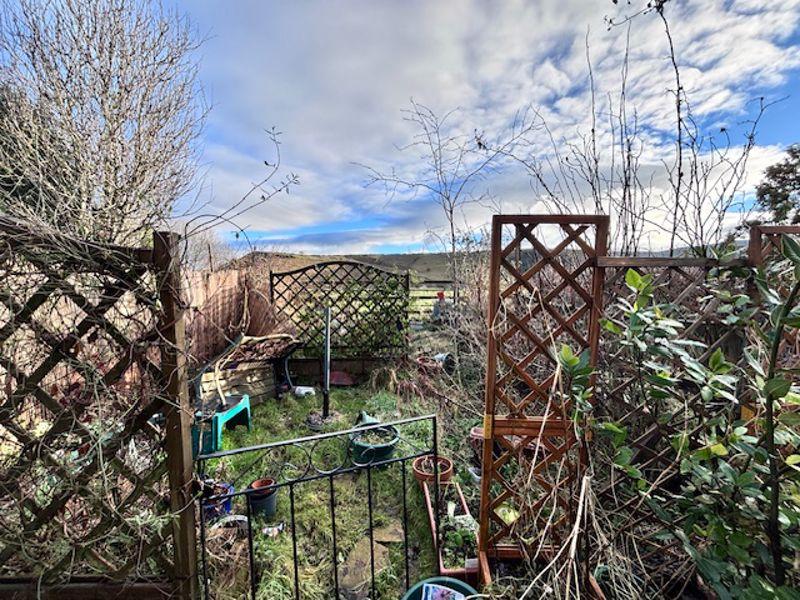 Garden Opposite