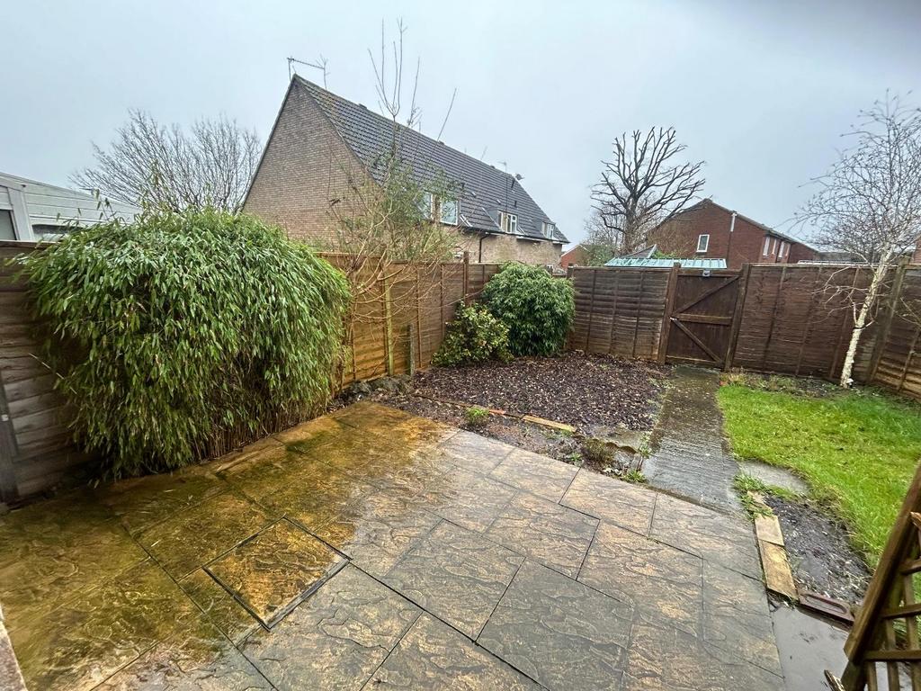 Back Garden