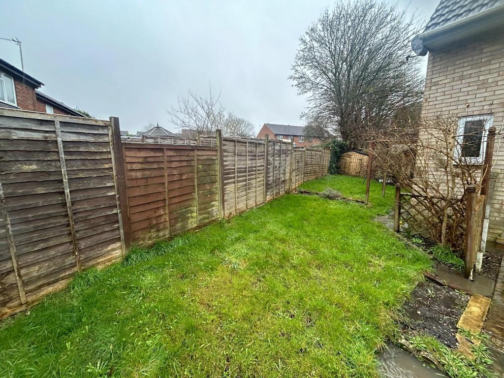 Back Garden