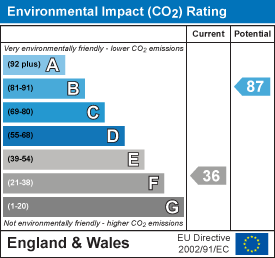 EI Rating