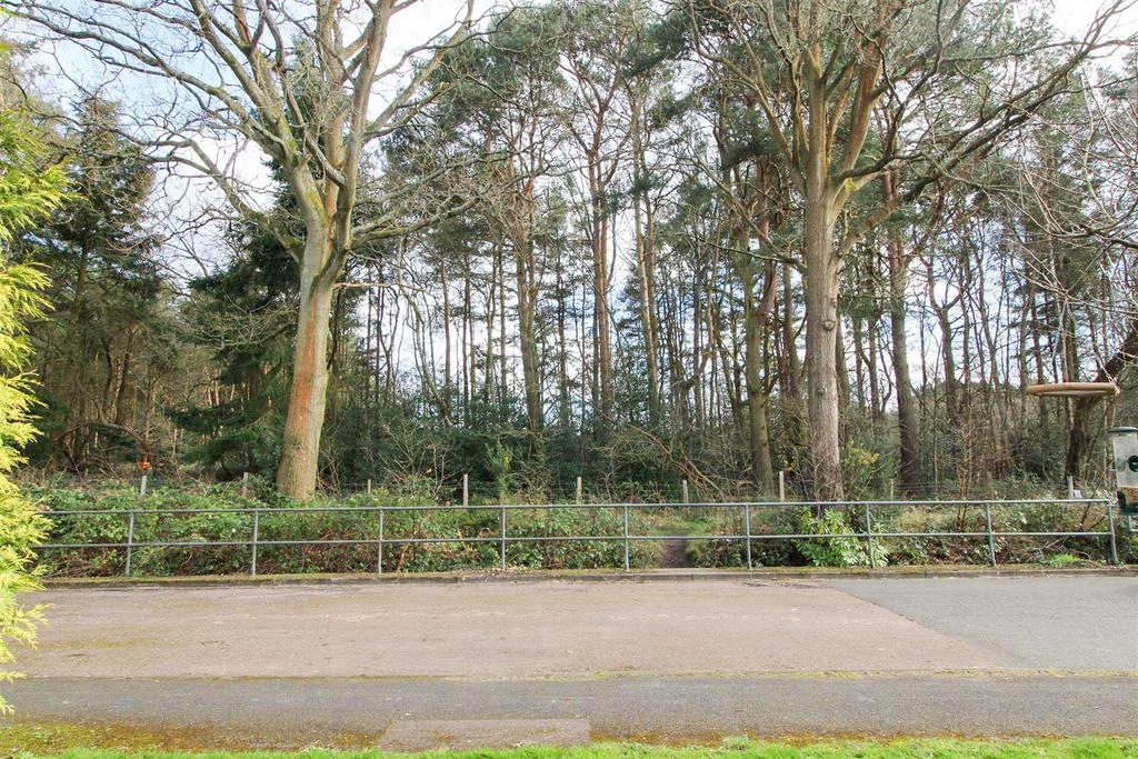 Views Over Woodland