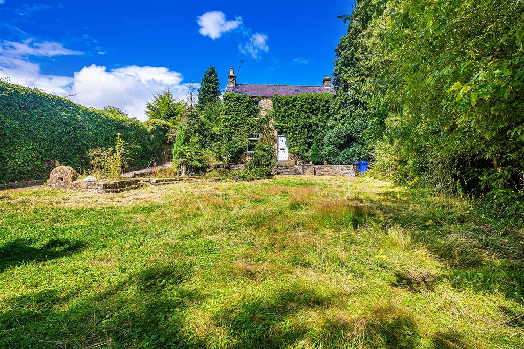 Front garden 3