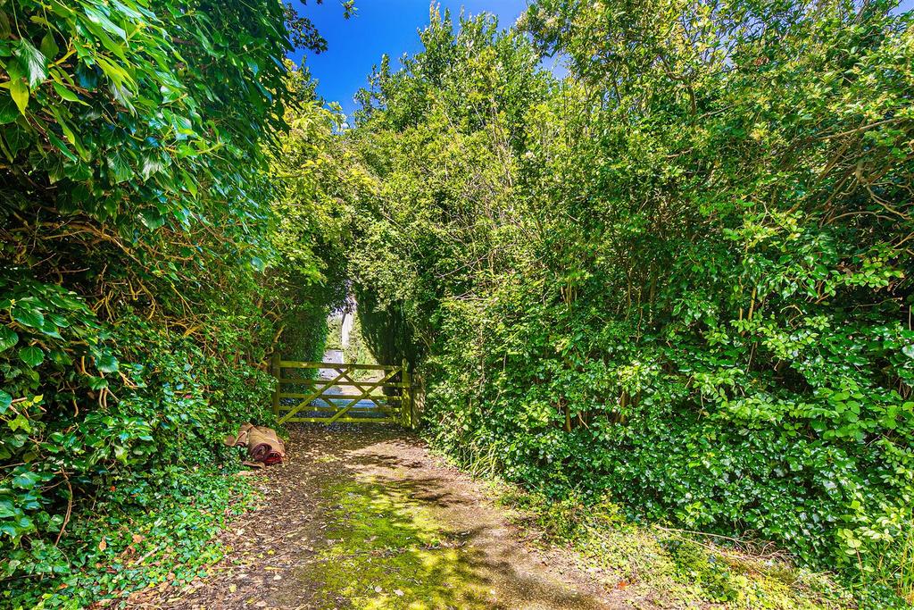 Driveway