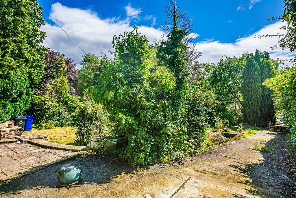 Front garden & driveway