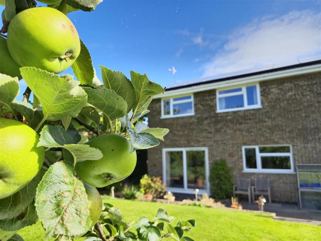 Private Rear Garden