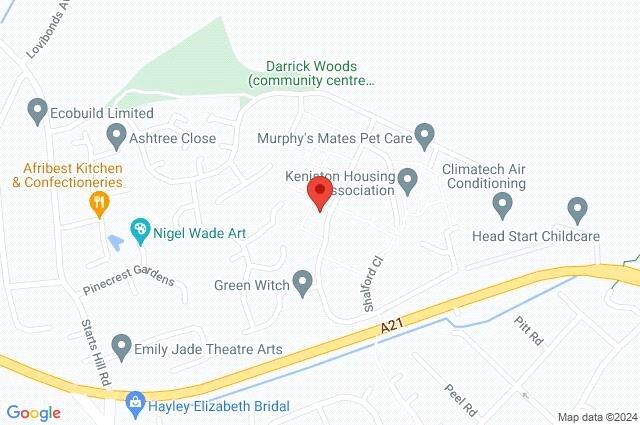 Google Maps Image