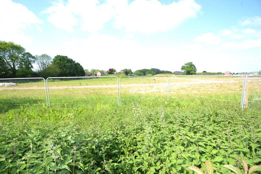 Field to be Developed